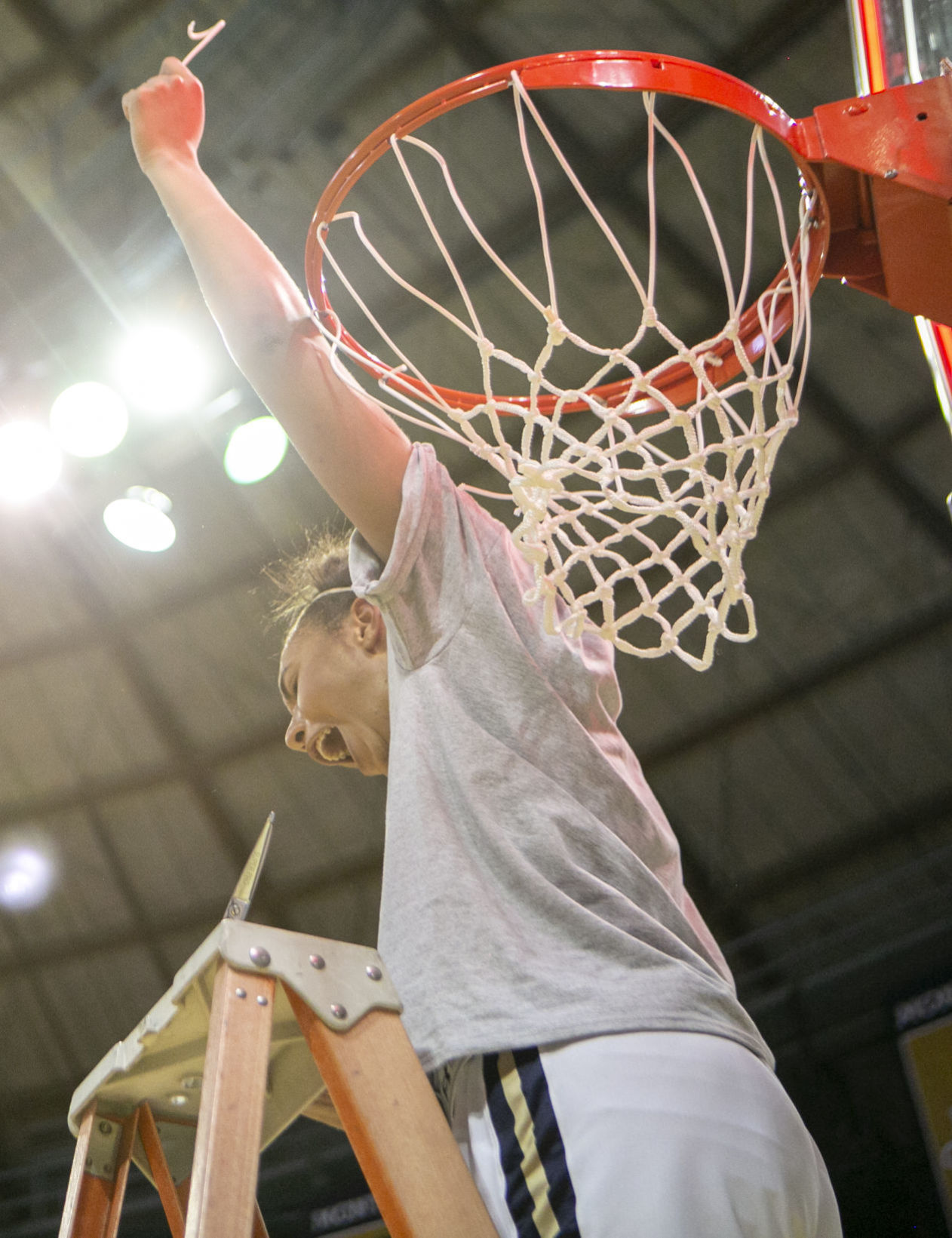 Nets cut